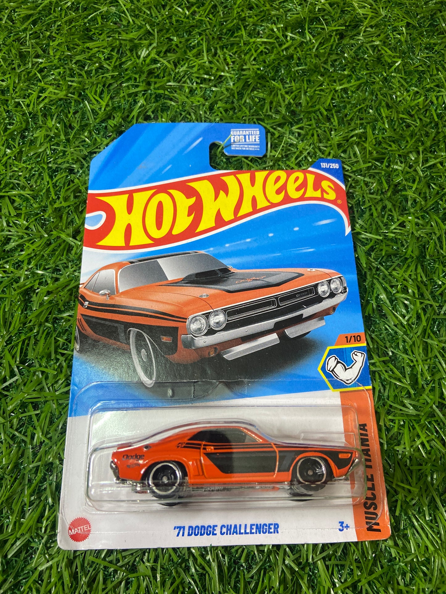 Dodge Challenger - Imported