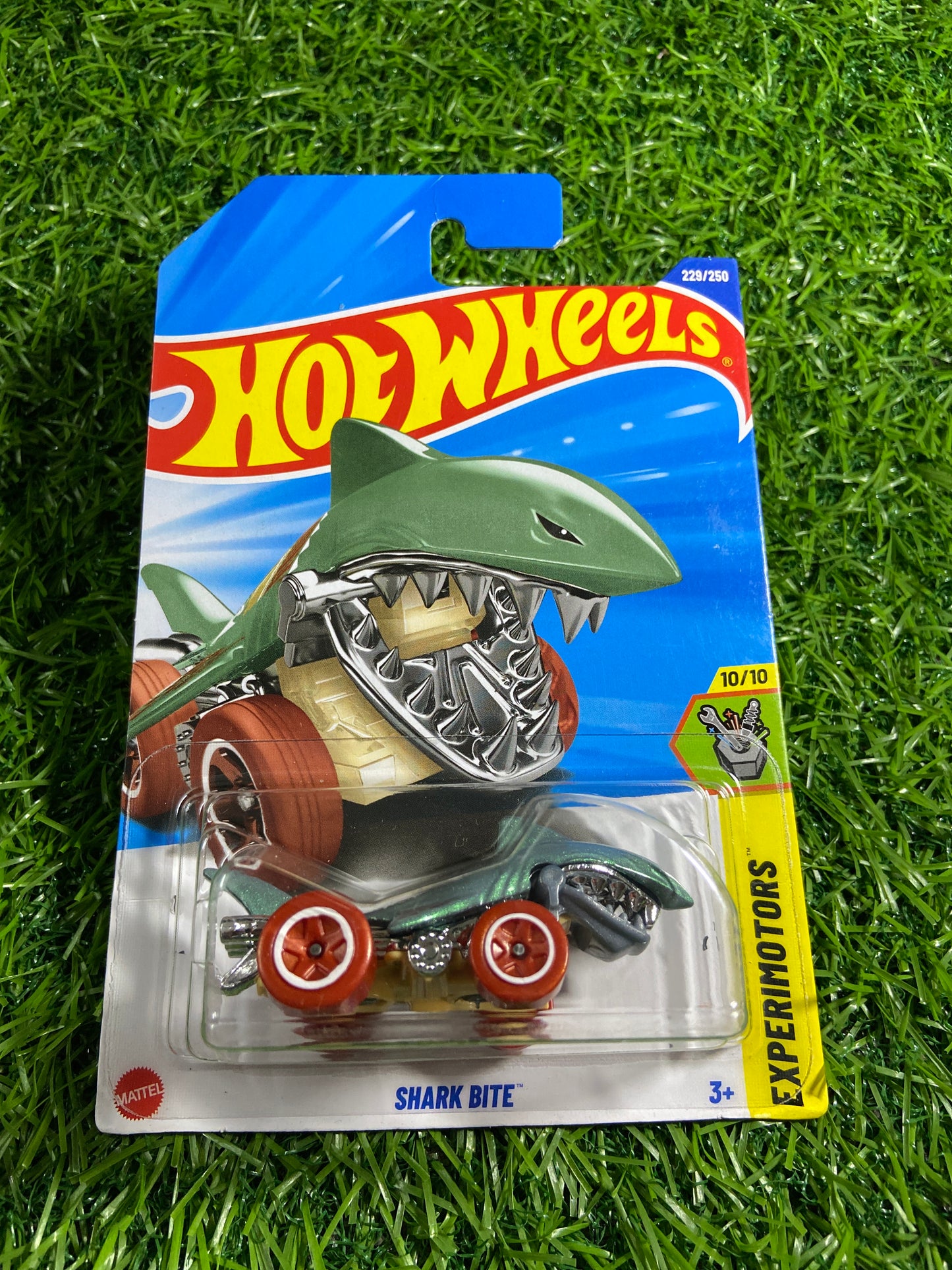 Shark Bite￼- Treasure Hunt